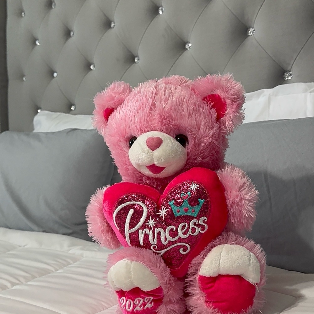Princess Pink Teddy Bear